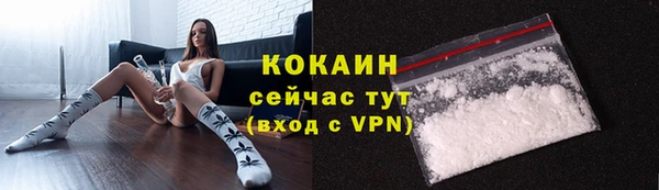 сатива Бородино
