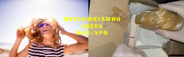 PSILOCYBIN Богданович
