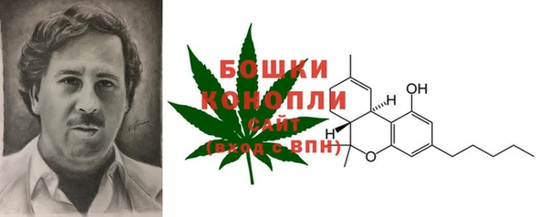 PSILOCYBIN Богданович