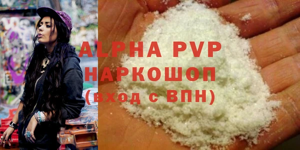 сатива Бородино